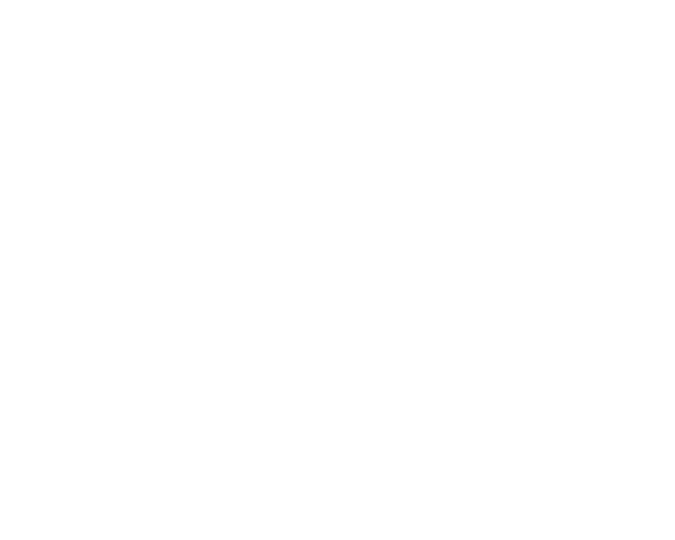 BBC - Ali Al Sayed as seen on BBC network