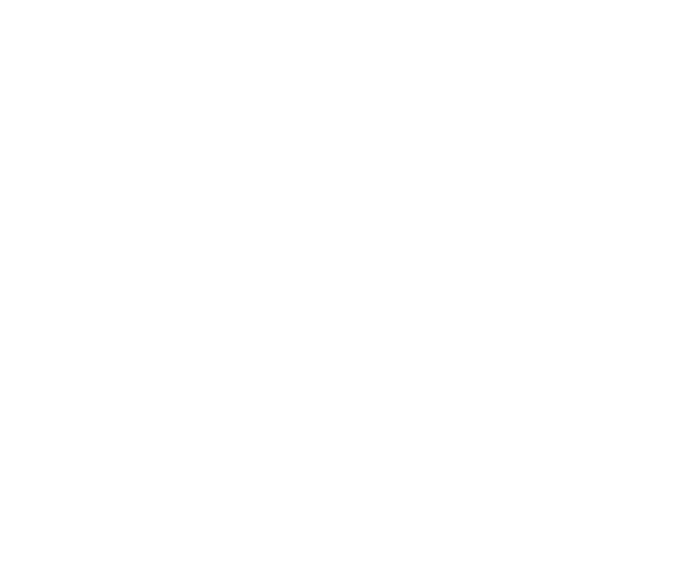 France 24 - Ali Al Sayed as seen on France 24