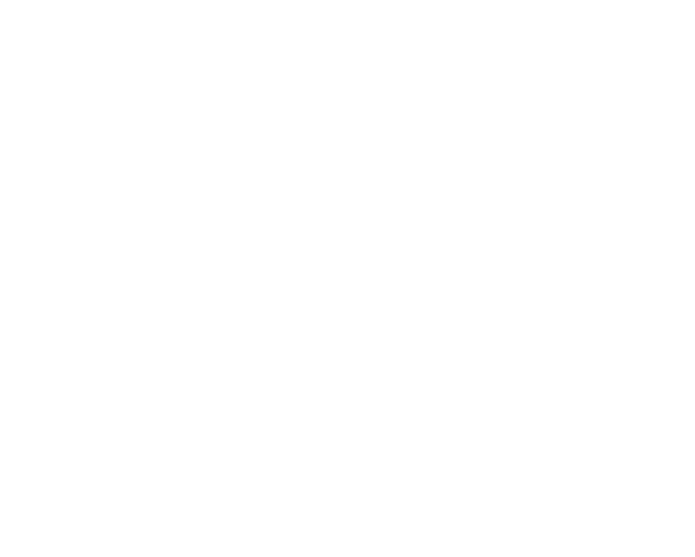 MAF-Majid-Al-Futtaim-Ali-Al-Sayed