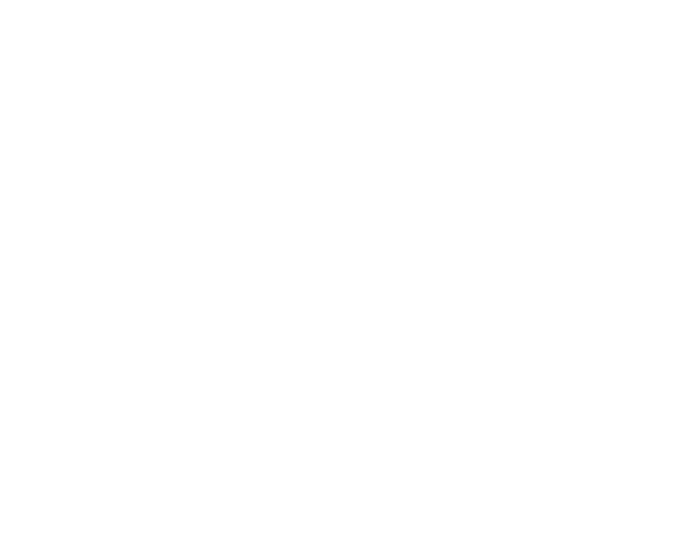 VISA-Ali-Al-Sayed
